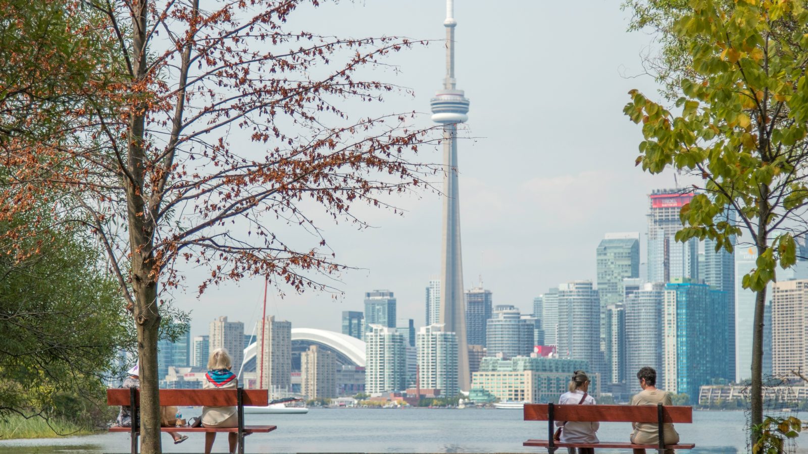 four people sits on park benches across city scape