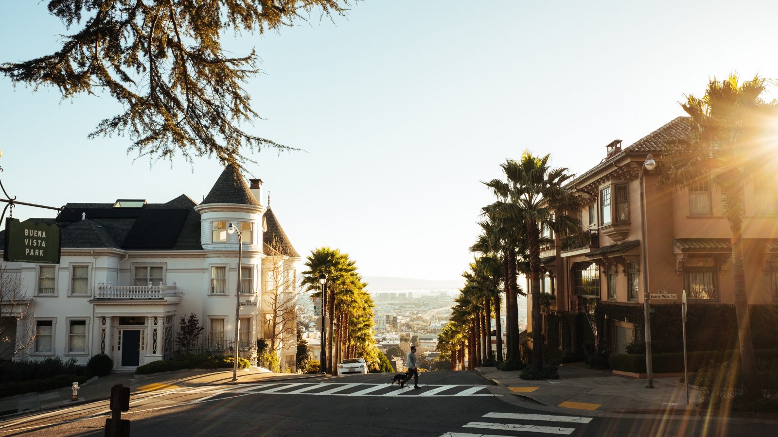 houses near road with palm trees